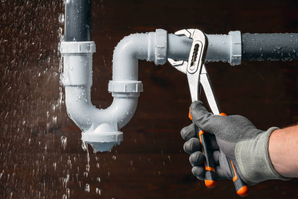 Professional Plumbing technician working in Wittenberg, WI